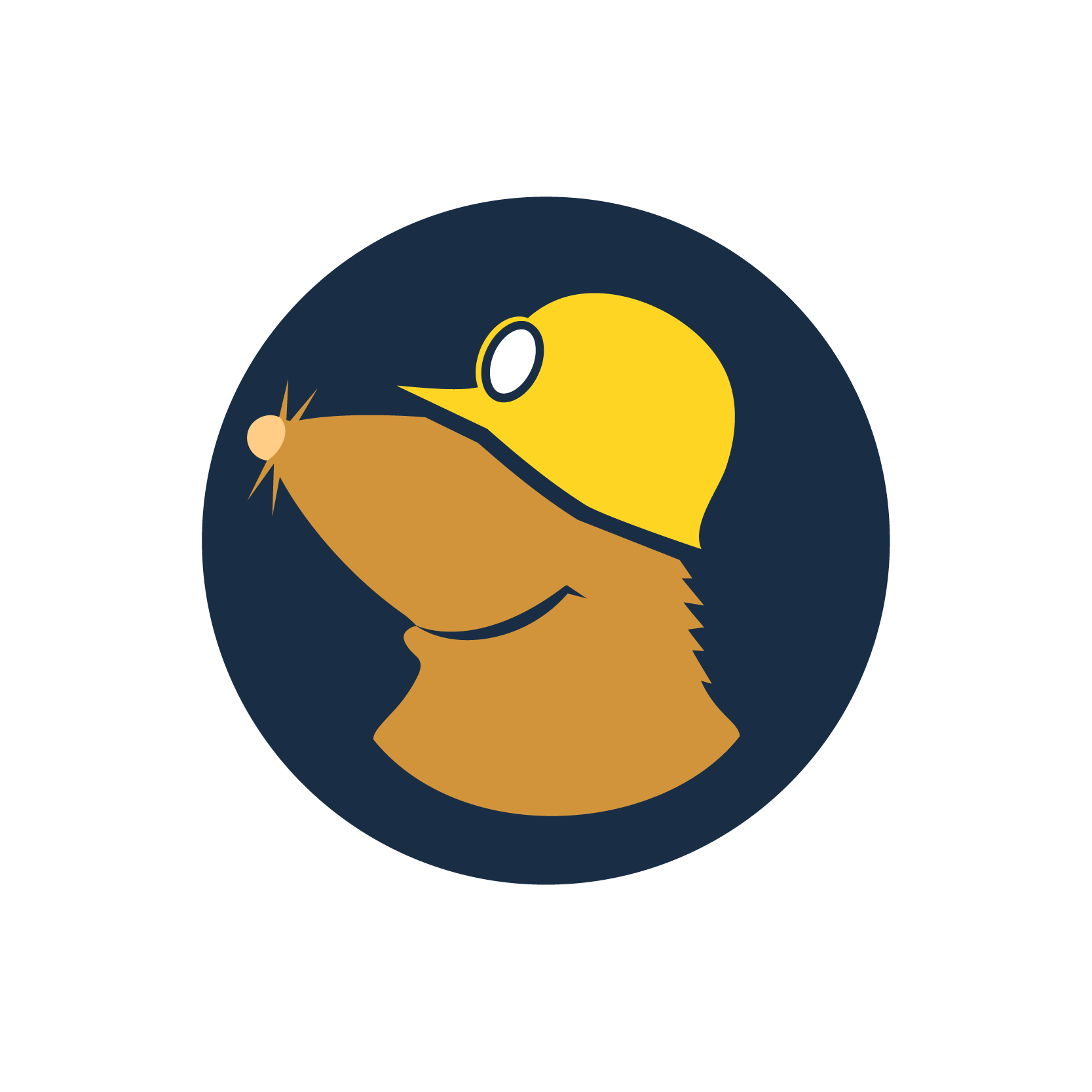Mullvad VPN